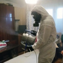 Дезинфекция от клопов в Ропше